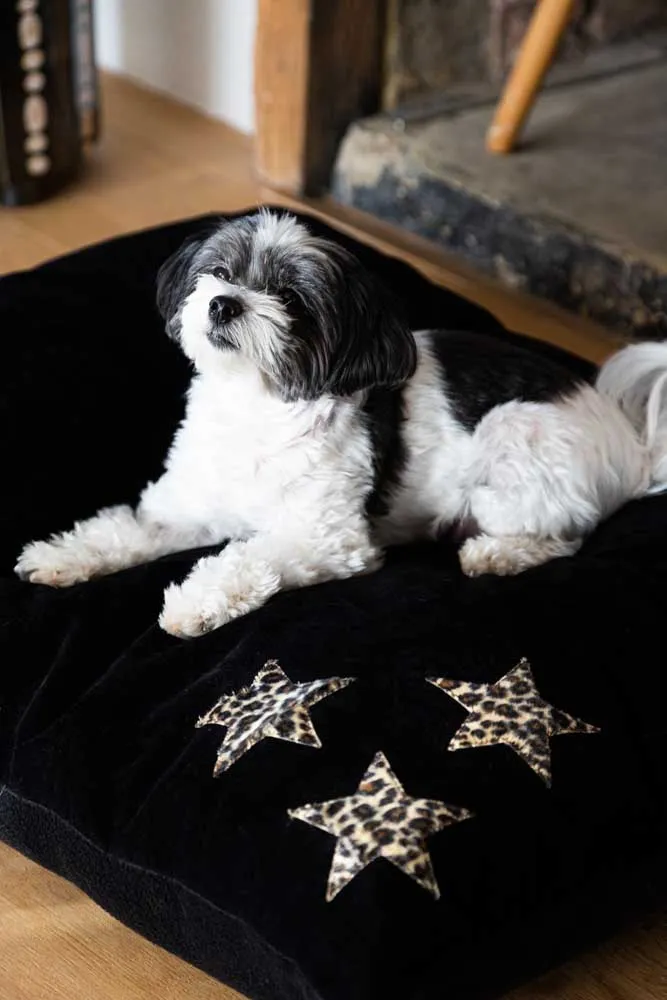 Leopard Stars Dog Bed - 3 Available Sizes