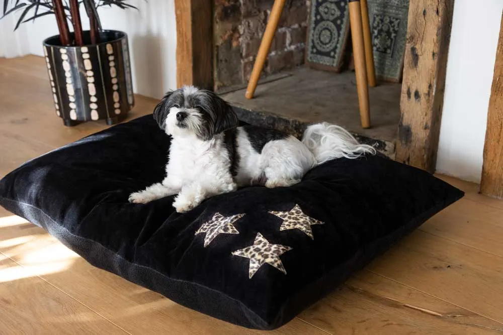 Leopard Stars Dog Bed - 3 Available Sizes