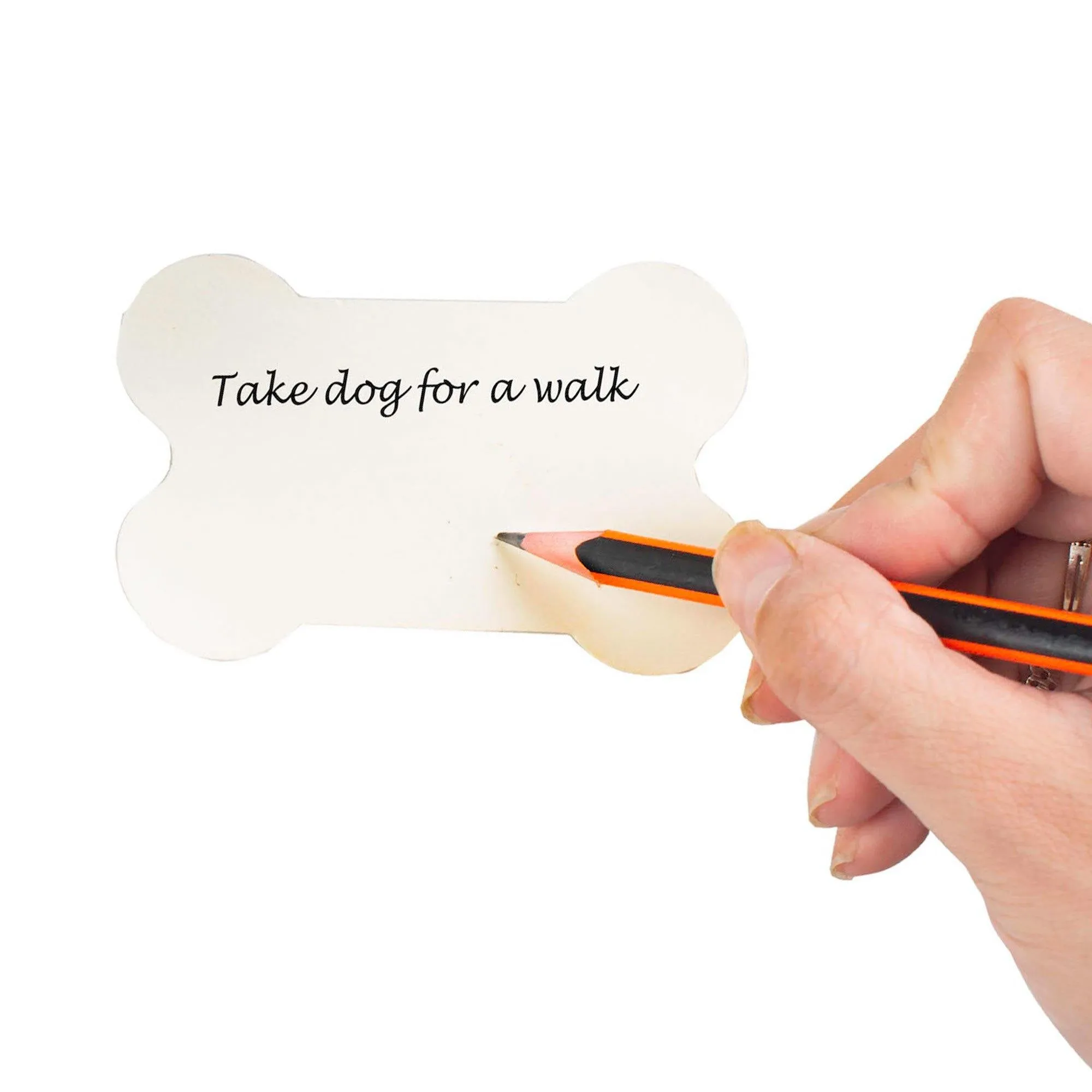 Puppy Notes Desk Tidy